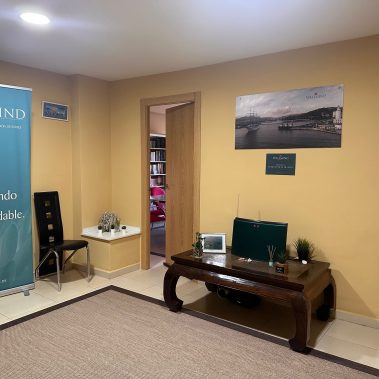 WELLMIND PSICOLOGIA MÁLAGA