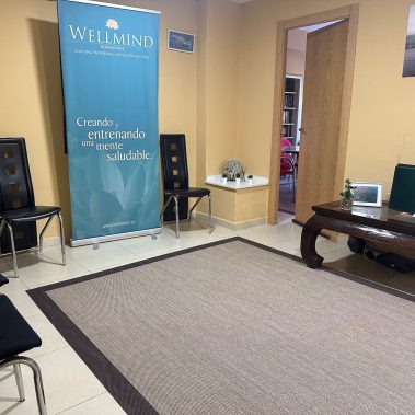 WELLMIND PSICOLOGIA MÁLAGA psicólogos en Málaga