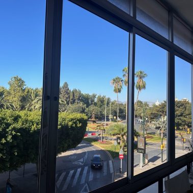 WELLMIND PSICOLOGIA MÁLAGA